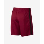 Soccer Short